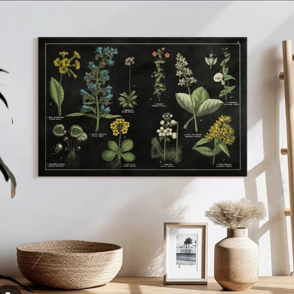 Other - Botanical Print Wall Art Plants Flowers Wooden Trim